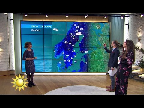 Väderprognos: Glöm inte halsduken! - Nyhetsmorgon (TV4)