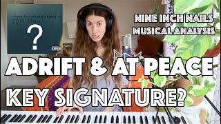 &quot;ADRIFT &amp; AT PEACE&quot; - Nine Inch Nails // harmonic analysis