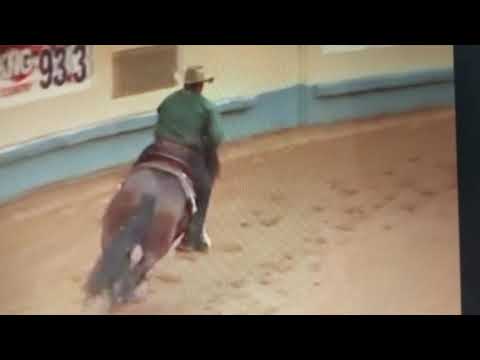 Kr lil conquistador shawn flarida nrha futurity champion