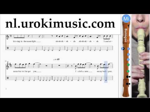 Blokfluit B. Leren Spelen Shakira Can't Remember to Forget You Blokfluitles Deel#2 Studie Klasse