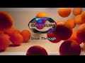 REUPLOAD The Mega Giant Turbo Best Animation Logos Might Confuse You