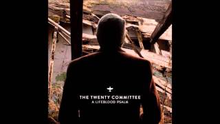 The Twenty Committee - How Wonderful
