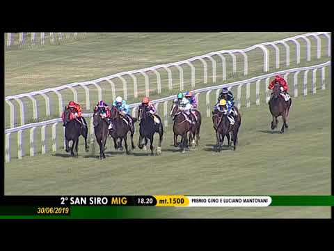 2019.06.30 Premio Gino E Luciano Mantovani (ITA) - Rose Secret