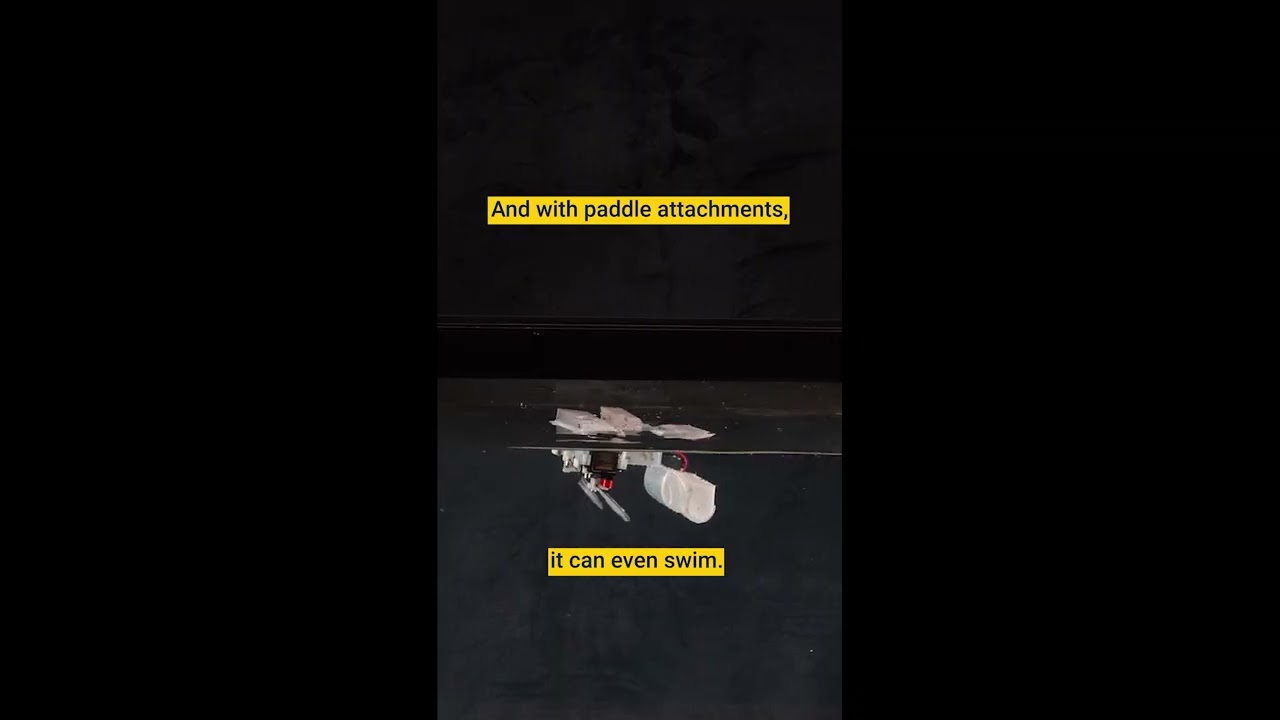 Tiny robots can hop or swim. - YouTube