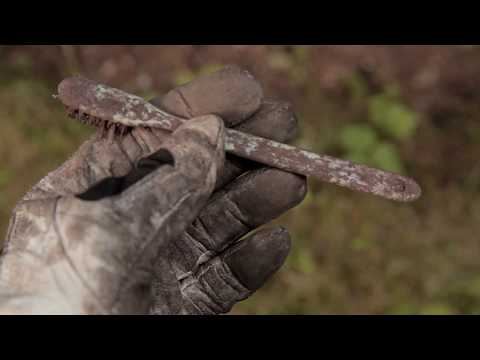 WWII Metal Detecting - Amazing German WH and POW relics found!