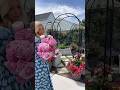 PEONIES?? Utah was made for them. 😍 #gardening