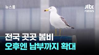 [날씨] 전국 곳곳 봄비…오후엔 남부까지 확대 / JTBC 뉴스룸