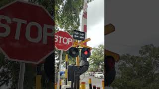 Download lagu Suara Palang Pintu Kereta Api Seperti Suara Ambulan #train #shorts mp3 Download lagu Suara Palang Pintu Kereta Api Seperti Suara Ambulan #train #shorts mp3