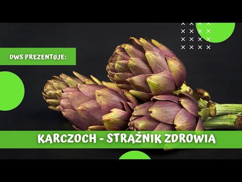 Karczoch - właściwości zdrowotne i zastosowanie w kuchni