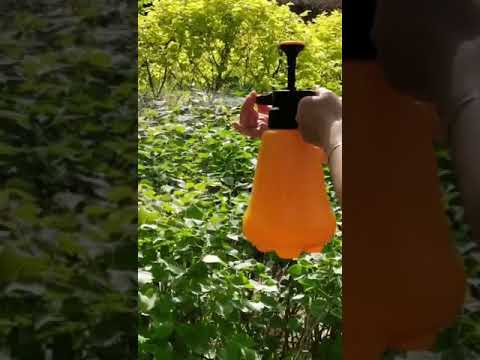 Garden Watering Tools