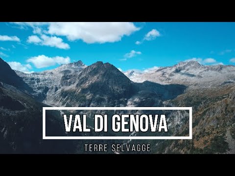 VAL DI GENOVA Terre selvagge. Il documentario sulla alta val di Genova nel parco Adamello-Brenta.