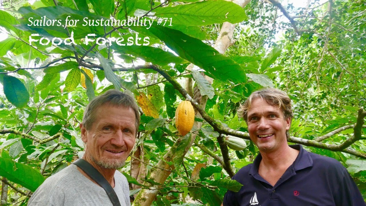 The Best Way to Grow Food: Food Forests! (Sailors for Sustainability #71)