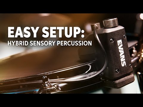 Evans Hybrid Sensory Percussion: Easy Setup and Sound Design