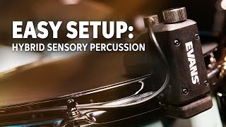 Video thumbnail for Evans Hybrid Sensory Percussion: Easy Setup and Sound Design by Sweetwater