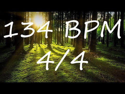 134 BPM 4/4 Claves Metronome