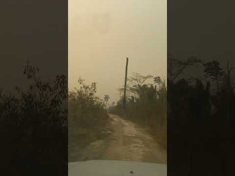 VIDA DE CORRETOR DE IMÓVEIS RURAIS. CUJUBIM RONDÔNIA 15/08/2.024