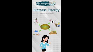 Biomass Energy | Examples of Renewable Sources of Energy | Science #shorts