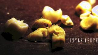 Dr.Rotten - 01 Little Teeth