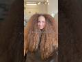 When Curl Definition Is The Goal Curly Hairtok Curlyhair Haircare Hairtexture Longhair Fyp