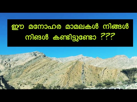 | BEAUTIFUL FLOWERS OF RAS AL KHAIMA | MANOHARA THERRAM |