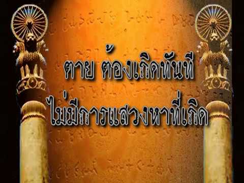 ขนมสำหรับผู้หญิงเชื้อโรค ด้านบน 10 ผลิตภัณฑ์สำหรับแรง