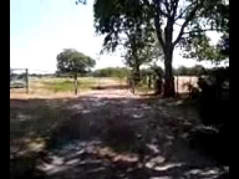 East Texas Land For Sale
