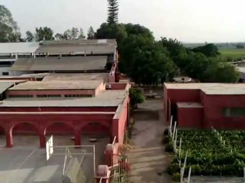 , title : 'Campos de Viñedos en Bodega Tacama desde el Mirador en Bodega Tacama, Ica, Peru'