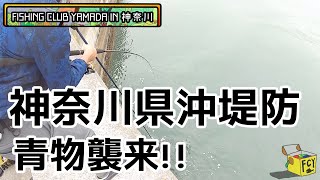 【神奈川県釣り】神奈川県沖堤防。青物襲来!!!