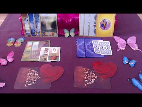 Wochenlegung für die Woche 07.03. - 14.03.19