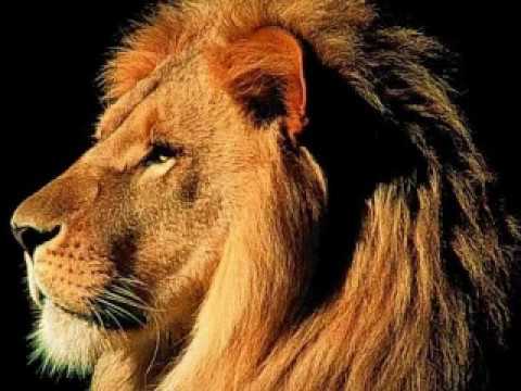 MIX - Tony Rebel - Honeycomb - Sugar Black - Lebanculah - Queen Ifrica - Bobby Zaro