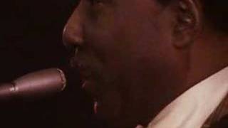 Muddy Waters plays Manish Boy Video