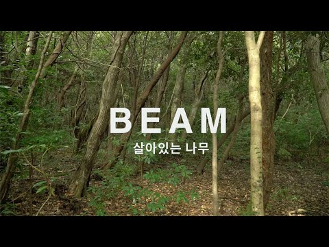 [서울독립영화제2025 단편경쟁3] BEAM : 살아있는 나무 예고편
