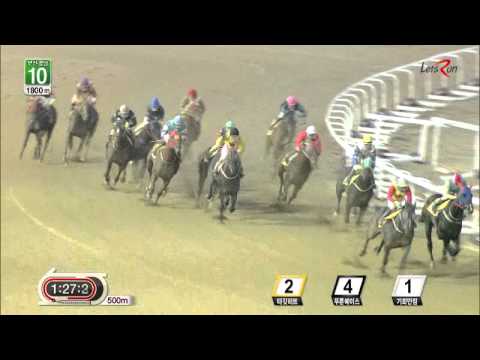 Rafale - Busan Racecourse - January 16, 2015