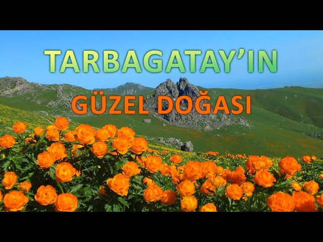 Tarbagatay’ın güzel doğası