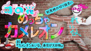 【めっちゃカメレオン】メンツは夜アソ日和なカメレオン　#6【かくれんぼ】