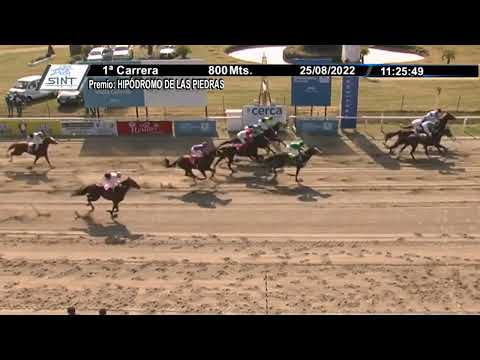 CARRERAS SINT COLONIA - 220825 c01 1° LEOPARD DANCE