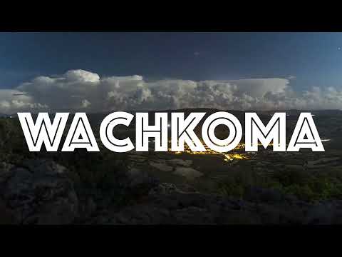 psychopaulic - Wachkoma (Official Video) [Treppenwitz]