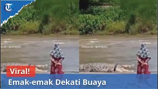 Download lagu Viral! Emak-emak Dekati Buaya Berkalung Ban di Palu mp3 Download lagu Viral! Emak-emak Dekati Buaya Berkalung Ban di Palu mp3