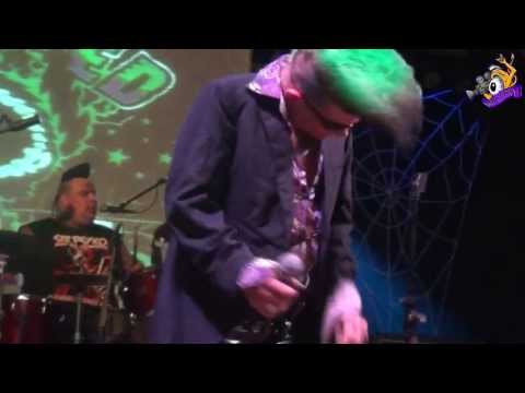 ▲Demented Scumcats - Snail train - Pineda 2013 - Psychobilly Meeting