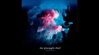 The Pineapple Thief - Reaching Out + Lyrics