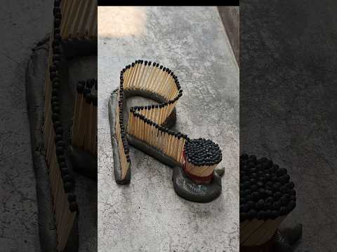 Egg Is The Source Of Protein. episode 62 #viralshort  #experiment #shorts 🍳