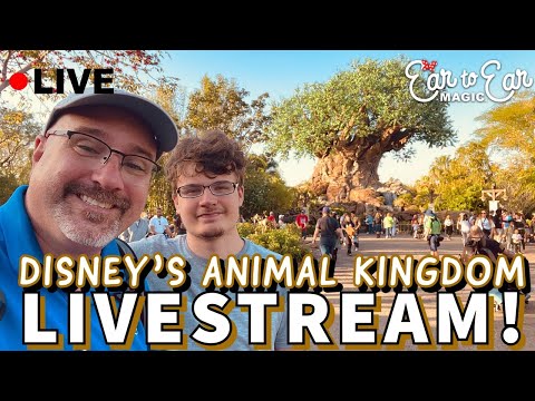 🔴 LIVE - Wild Wednesday Livestream - Disney’s Animal Kingdom 2-22-23