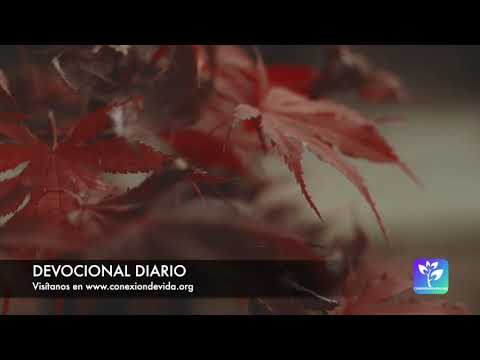 Devocional diario - 2019-12-01 - Dios nos seduce con cuerdas de amor