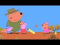 Peppa Pig Plays Cricket Peppa Pig Kids Videos For Kids