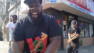 Herb Mcgruff &amp; Stan Spit " Intro Vibes" freestyle