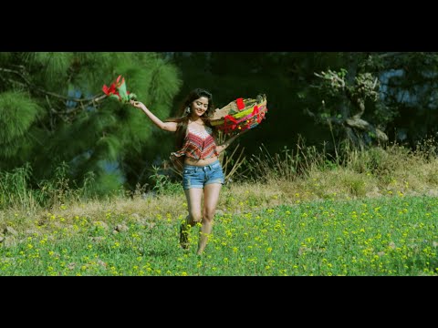 download lagu mp3 mp4 Queen Hindi Movie Photos, download lagu Queen Hindi Movie Photos gratis, unduh video klip Queen Hindi Movie Photos