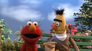 Sesame Street   Bert And Elmo Watches The Pigeons Loud And Soft