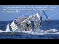 Marlin Sinks Fishing Boat Vessel Capsizes After Hooking Huge Fish Reuploaded