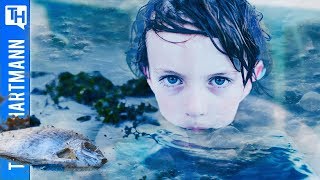 Lake Erie Getting Personhood Rights. What ?