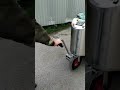 Молочное такси с пастеризацией и электроприводом 200 л. - photo 1